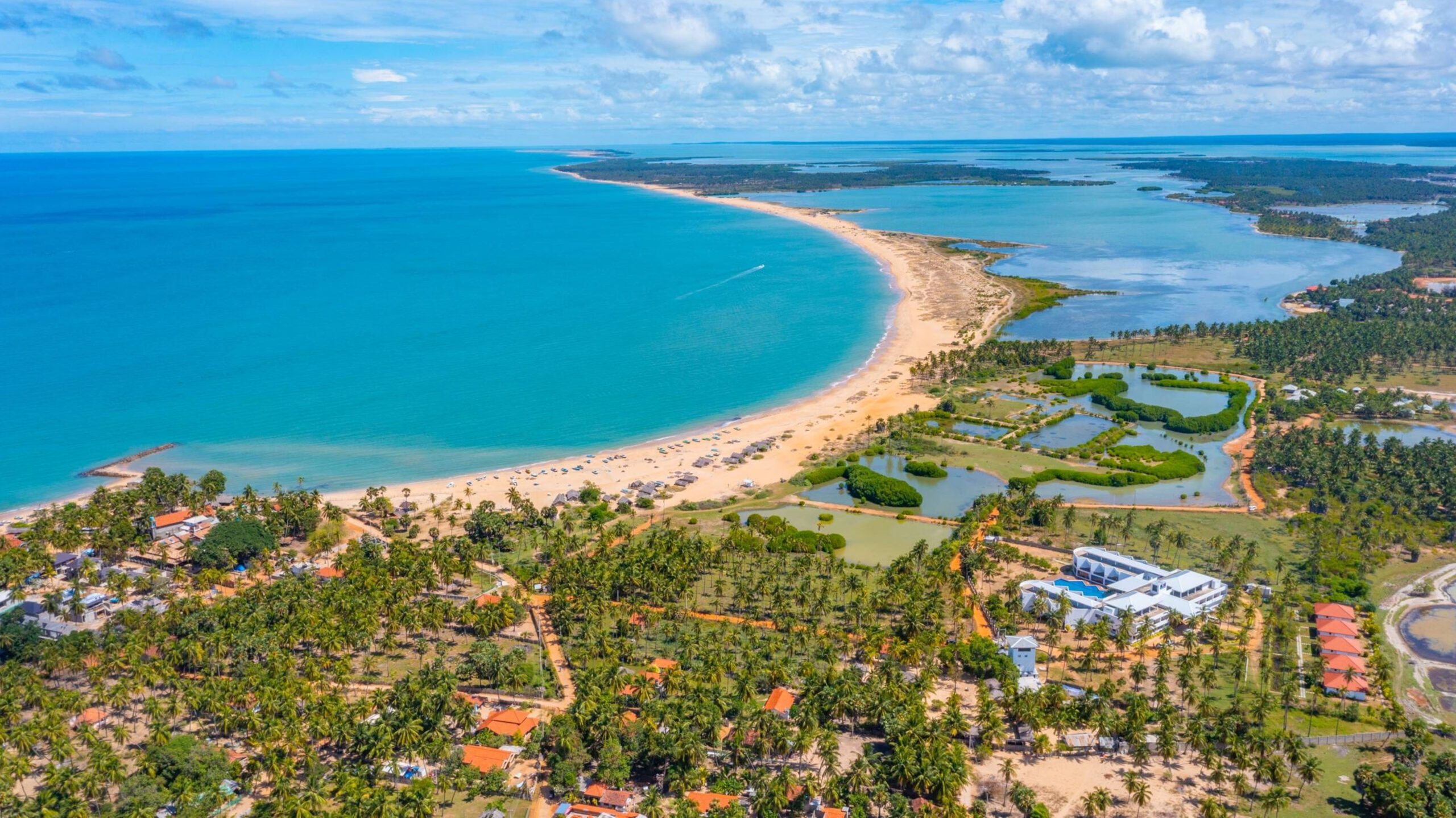 Aerial view of surfers near Hikkaduwa beach. Hikkaduwa, Sri Lanka.