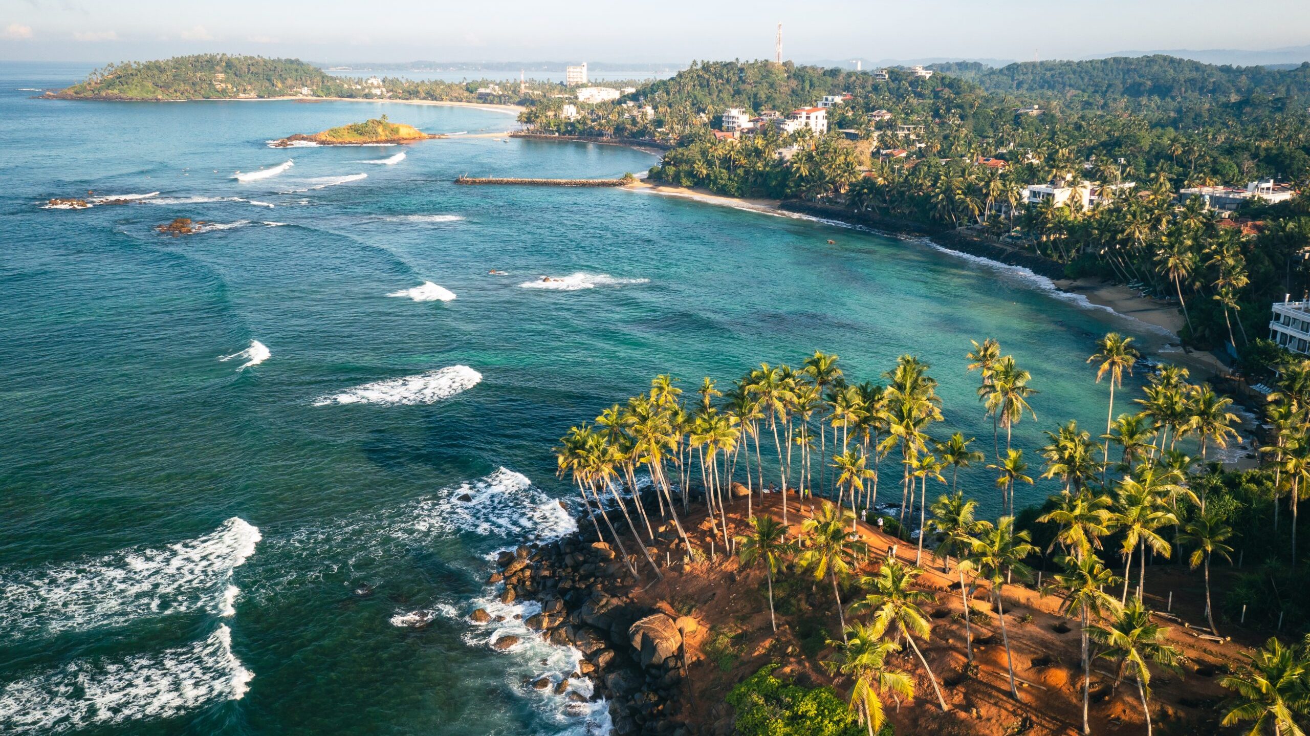 Coconut,Tree,Hill,In,Mirissa,Beach.,Sri,Lanka.