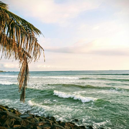 galle (17)